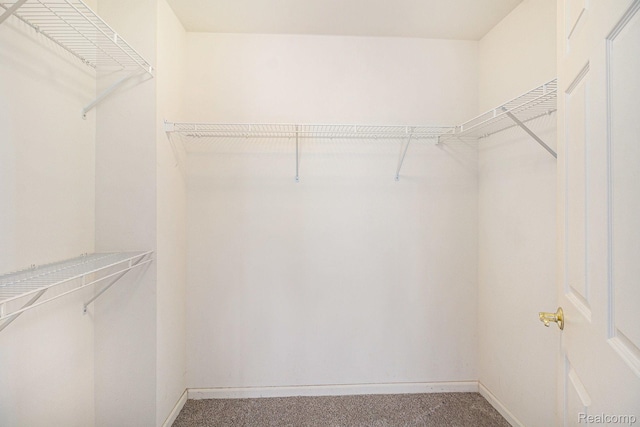 6438 Club Ct W, Grand Blanc, MI 48439 - walk in closet with carpet flooring