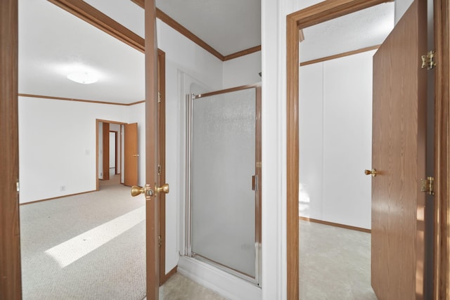 3280 Carlton Blvd, Jackson, MI 49203 - bathroom with a stall shower and ornamental molding