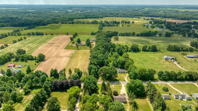 10620 Cady Rd, Jackson, MI 49201 - overview of rural landscape featuring extensive farmland and a pastoral area