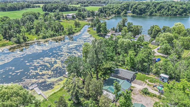 8828 Elm, Fremont, MI 49412 - aerial overview of property's location with a large body of water