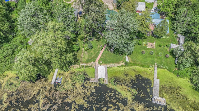 8828 Elm, Fremont, MI 49412 - aerial overview of property's location