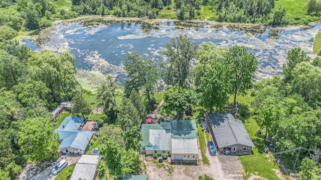 8828 Elm, Fremont, MI 49412 - aerial overview of property's location with a nearby body of water