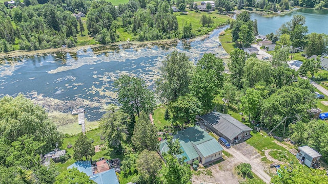 8828 Elm, Fremont, MI 49412 - aerial overview of property's location with a large body of water
