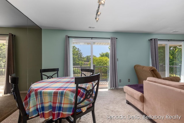 2623 Ridgecroft Dr SE Unit 301, Grand Rapids, MI 49546 - carpeted dining space featuring healthy amount of natural light and track lighting