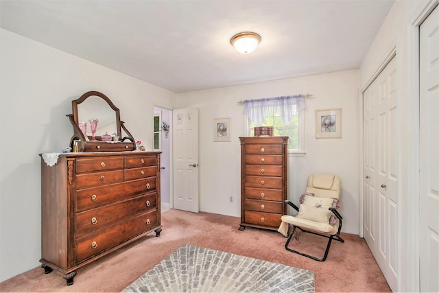 12411 E Michigan Ave, Galesburg, MI 49053 - sitting room with light carpet