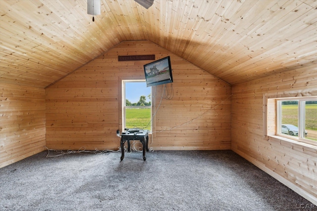 14211 Gilbert Rd, Waldron, MI 49288 - additional living space featuring wood walls, plenty of natural light, vaulted ceiling, wooden ceiling, and carpet