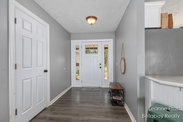 127 Hamilton Ln, Dowling, MI 49050 - entryway featuring dark wood-type flooring and a textured ceiling
