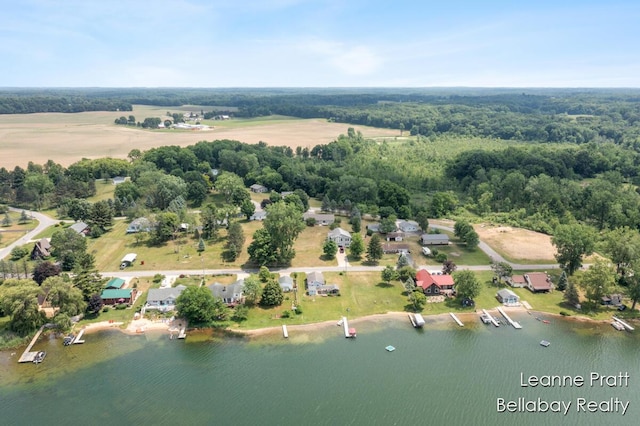 127 Hamilton Ln, Dowling, MI 49050 - aerial view of property and surrounding area featuring a nearby body of water