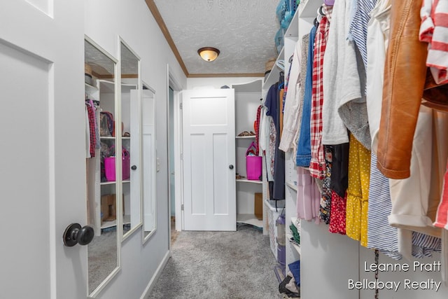 127 Hamilton Ln, Dowling, MI 49050 - walk in closet with carpet floors