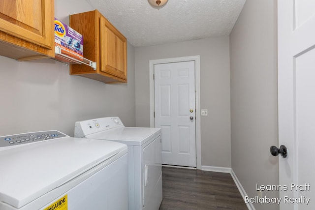 127 Hamilton Ln, Dowling, MI 49050 - washroom featuring cabinet space, separate washer and dryer, dark wood-style floors, and a textured ceiling