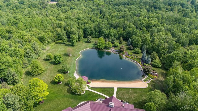 199 E Brooks Rd, Midland, MI 48640 - bird's eye view of a large body of water and a heavily wooded area