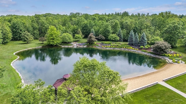 199 E Brooks Rd, Midland, MI 48640 - water view with a forest