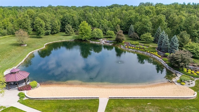 199 E Brooks Rd, Midland, MI 48640 - bird's eye view of a nearby body of water
