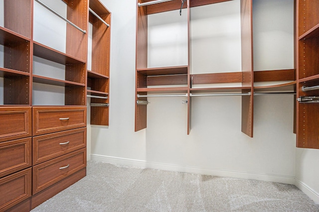 8842 Oakland Hills Cir, Portage, MI 49024 - walk in closet featuring carpet floors