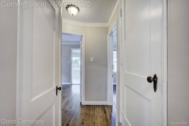 830 W Hazelhurst St, Ferndale, MI 48220 - hallway with wood finished floors and crown molding