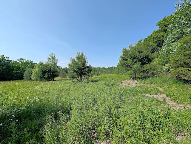 0 River Rd, Flushing, MI 48433