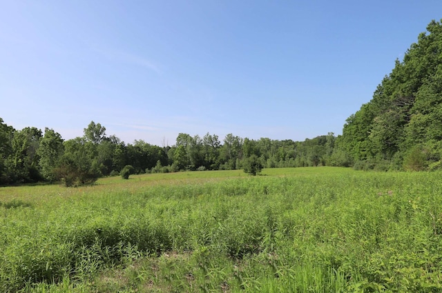 0 River Rd, Flushing, MI 48433