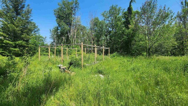 M-65, Whittemore, MI 48770