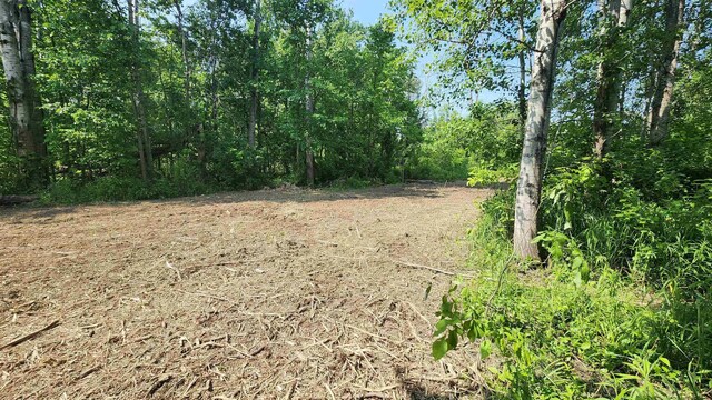 M-65, Whittemore, MI 48770