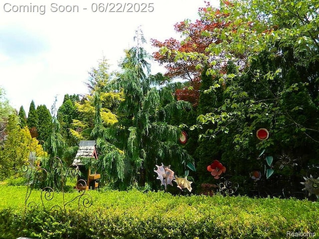 5236 Patrick Rd, West Bloomfield, MI 48322 - view of yard