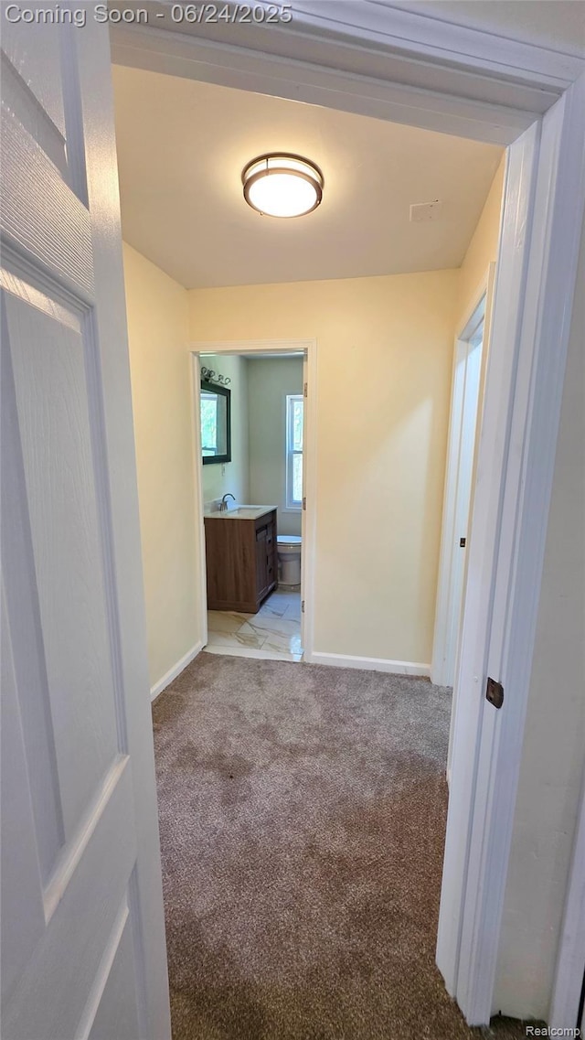 12280 Wade St, Detroit, MI 48213 - hallway with baseboards and light carpet