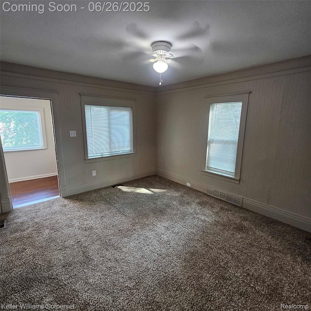 3909 Electric Ave, Port Huron, MI 48060 - carpeted empty room with healthy amount of natural light and ceiling fan