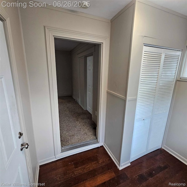 3909 Electric Ave, Port Huron, MI 48060 - hall with dark wood-style flooring and baseboards