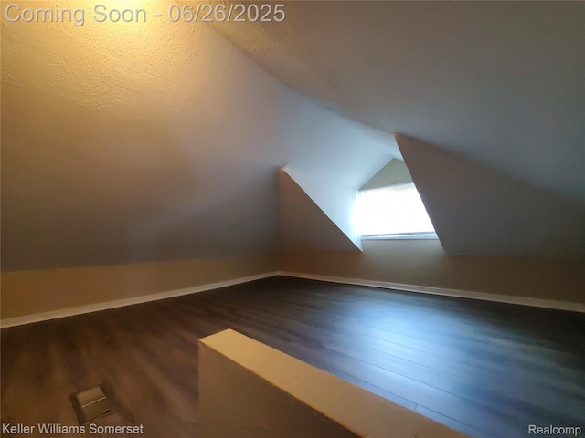 3909 Electric Ave, Port Huron, MI 48060 - additional living space featuring wood finished floors and lofted ceiling