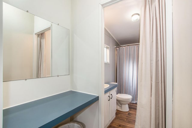 12467 S Running Deer Ln, Grant, MI 49327 - full bath featuring vanity, wood finished floors, and a shower with curtain