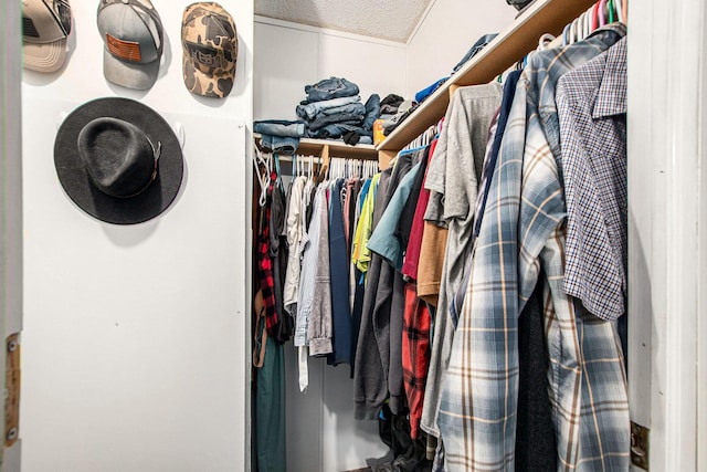 12467 S Running Deer Ln, Grant, MI 49327 - view of spacious closet