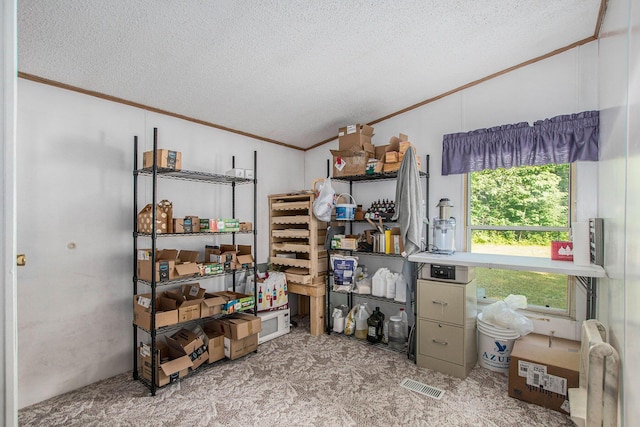 12467 S Running Deer Ln, Grant, MI 49327 - view of storage room