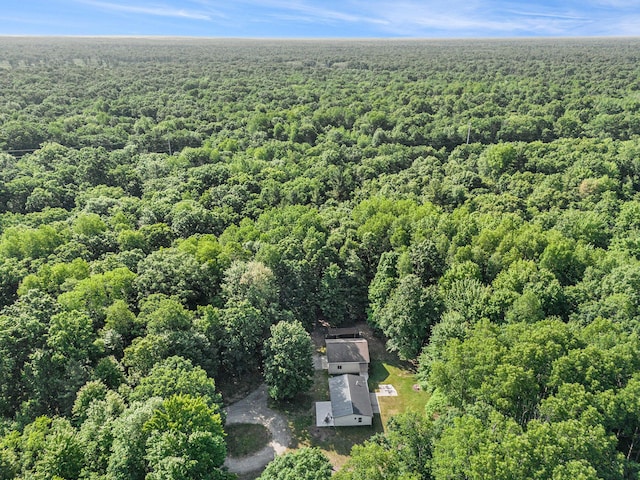 12467 S Running Deer Ln, Grant, MI 49327 - view of subject property with a forest