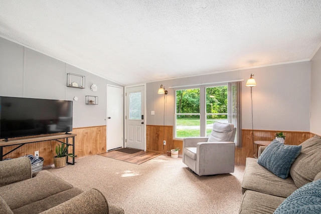 12467 S Running Deer Ln, Grant, MI 49327 - carpeted living room with wainscoting, wooden walls, a textured ceiling, and lofted ceiling