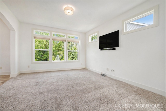 7511 Emerald Woods SE, Byron Center, MI 49315 - carpeted empty room with baseboards and arched walkways