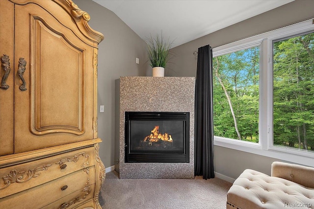 6280 Branford Dr, West Bloomfield, MI 48322 - detailed view of carpet and a glass covered fireplace