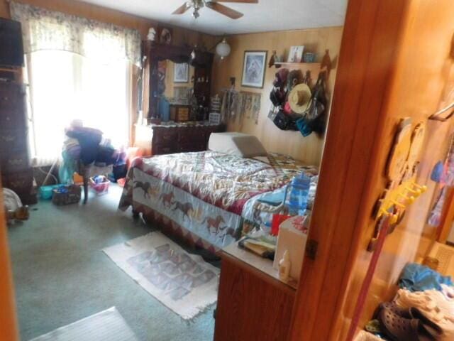3509 E Taylor Rd, Hart, MI 49420 - bedroom with multiple windows and carpet
