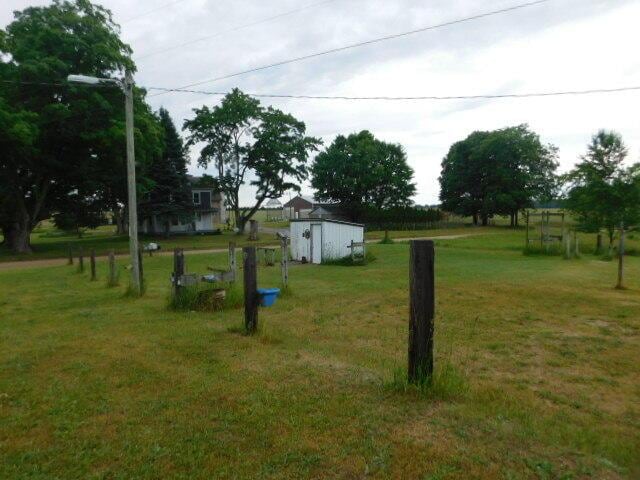3509 E Taylor Rd, Hart, MI 49420 - view of grassy yard with a storage shed