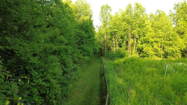 8874 1 Mile Rd, East Leroy, MI 49051 - photo 10