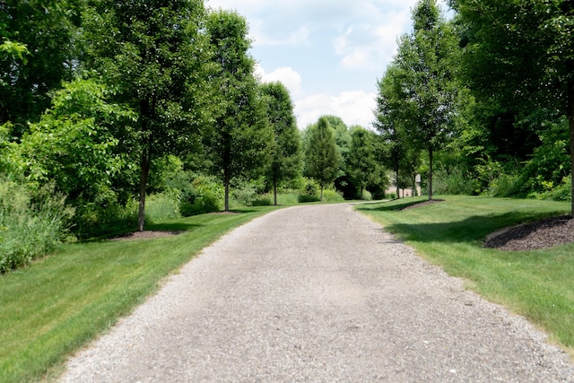 8874 1 Mile Rd, East Leroy, MI 49051 - photo 12