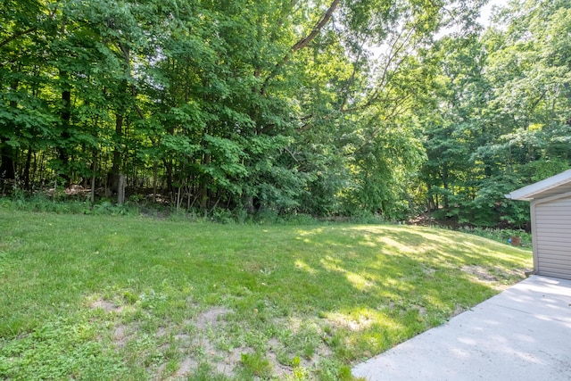 10456 Ferris Ave, Grant, MI 49327 - view of grassy yard