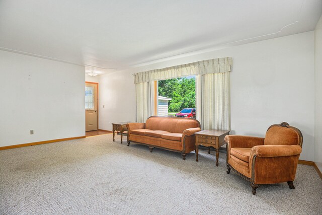 18169 6th Avenue Rd, Three Rivers, MI 49093 - living room featuring light colored carpet