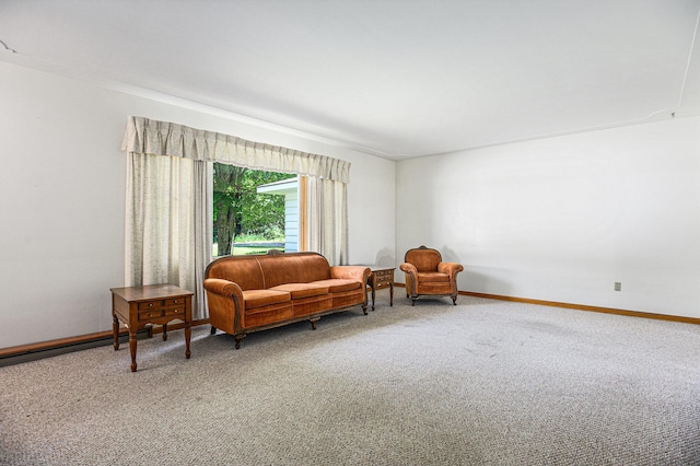 18169 6th Avenue Rd, Three Rivers, MI 49093 - sitting room featuring carpet and baseboards