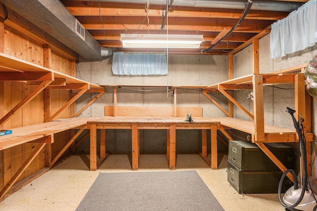 18169 6th Avenue Rd, Three Rivers, MI 49093 - view of storage area