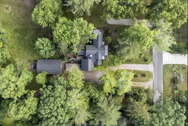 9435 Community Hall Rd, Union Pier, MI 49129 - aerial view
