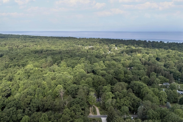 9435 Community Hall Rd, Union Pier, MI 49129 - drone / aerial view of a heavily wooded area and a large body of water