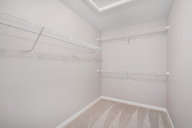10874 Easthill Dr, Allendale, MI 49401 - photo 19