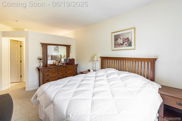 49649 Draper Cir, Plymouth, MI 48170 - view of carpeted bedroom