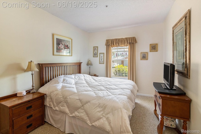 49649 Draper Cir, Plymouth, MI 48170 - bedroom with light colored carpet and a textured ceiling