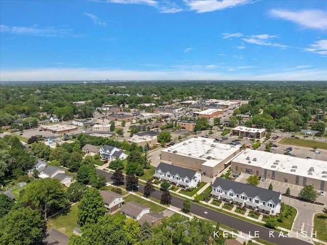 2519 Inverness Rd SE, Grand Rapids, MI 49546 - drone / aerial view