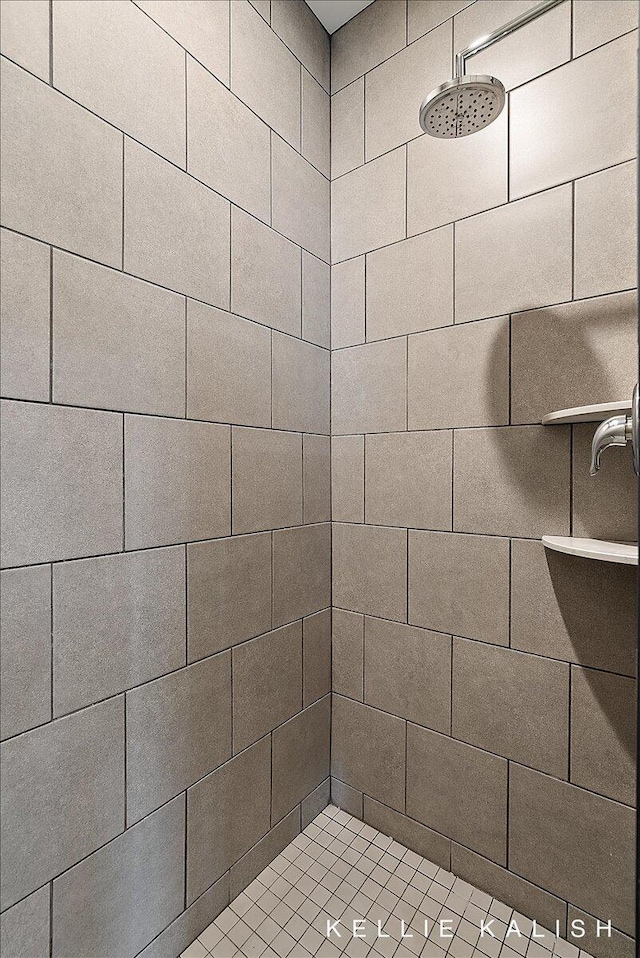 2519 Inverness Rd SE, Grand Rapids, MI 49546 - bathroom with tiled shower